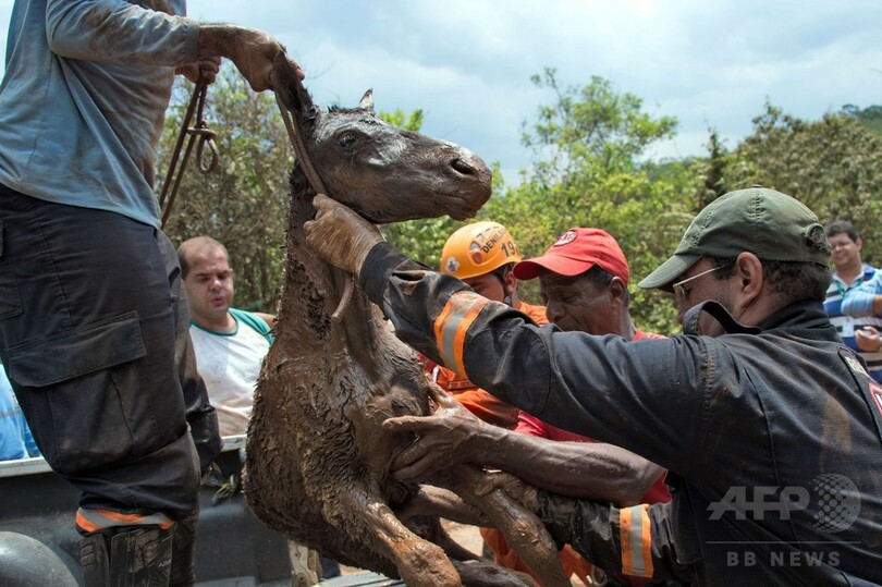 ブラジル鉱山ダム決壊事故、不明者の捜索難航 死者2人か