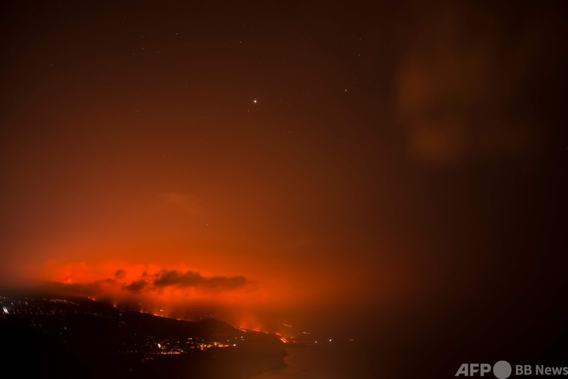 溶岩で孤立の犬4匹、姿消す 現場に謎のメッセージ スペイン