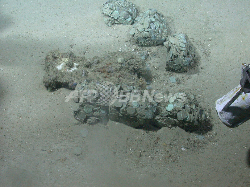 沈没船の財宝、所有権はスペインに 米裁判所