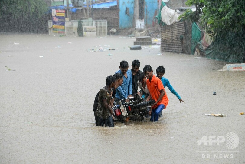 24時間に500ミリの豪雨で街が冠水、市内に現れたワニが犬襲う インド