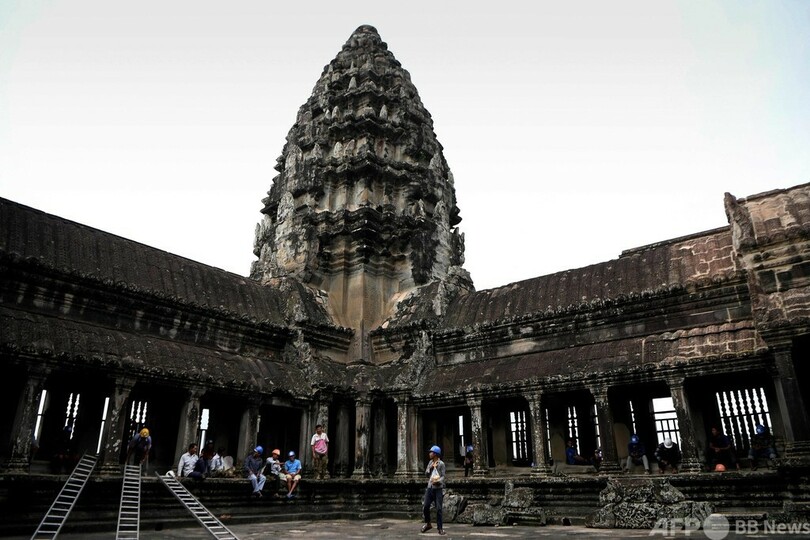 遺跡を木の根から守れ 命がけの仕事続ける庭師ら カンボジア