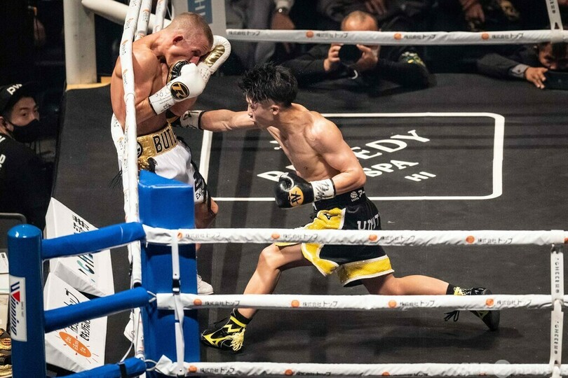 井上尚弥が世界バンタム級4団体統一、バトラーに11回KO勝ち