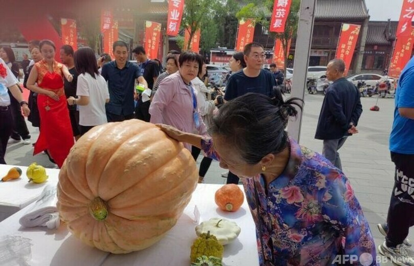 「中国北方の月餅の故郷」山西・神池 「子供の頃の味」への招待
