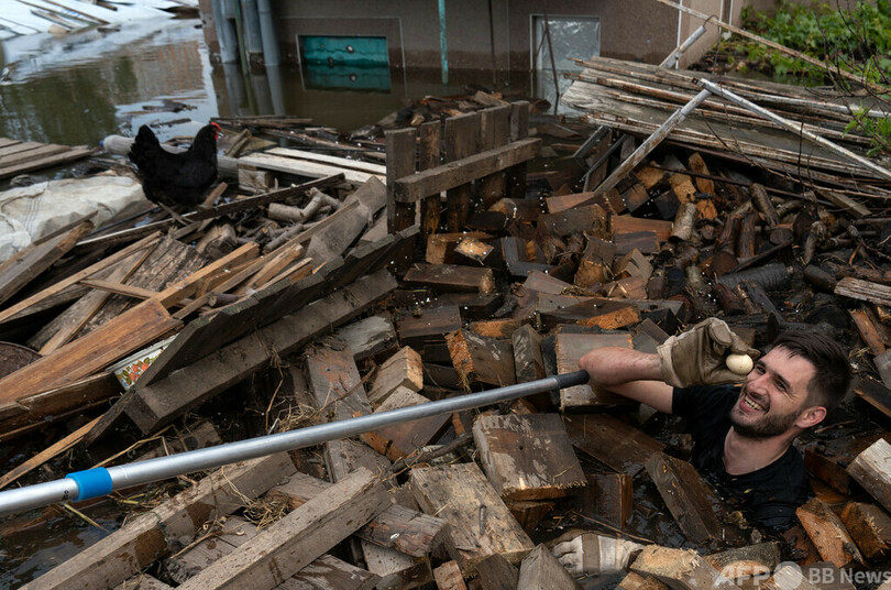【今日の1枚】がれきの中で卵発見、ダム決壊で動物保護 ウクライナ