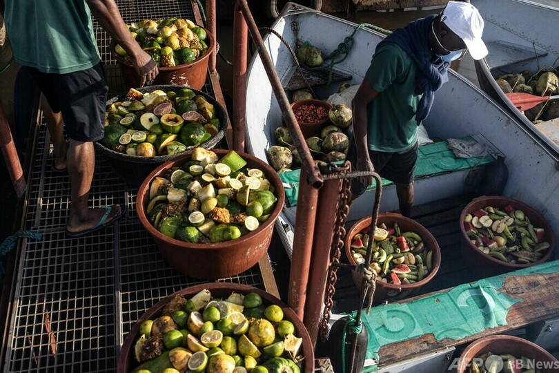 島に置き去り…実験用チンパンジー ボランティアが世話 リベリア