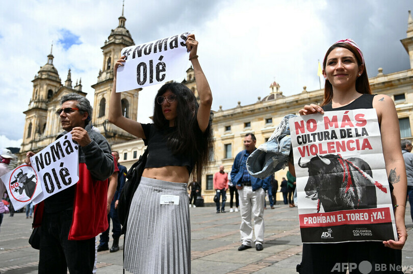 コロンビア下院、闘牛禁止法案を可決
