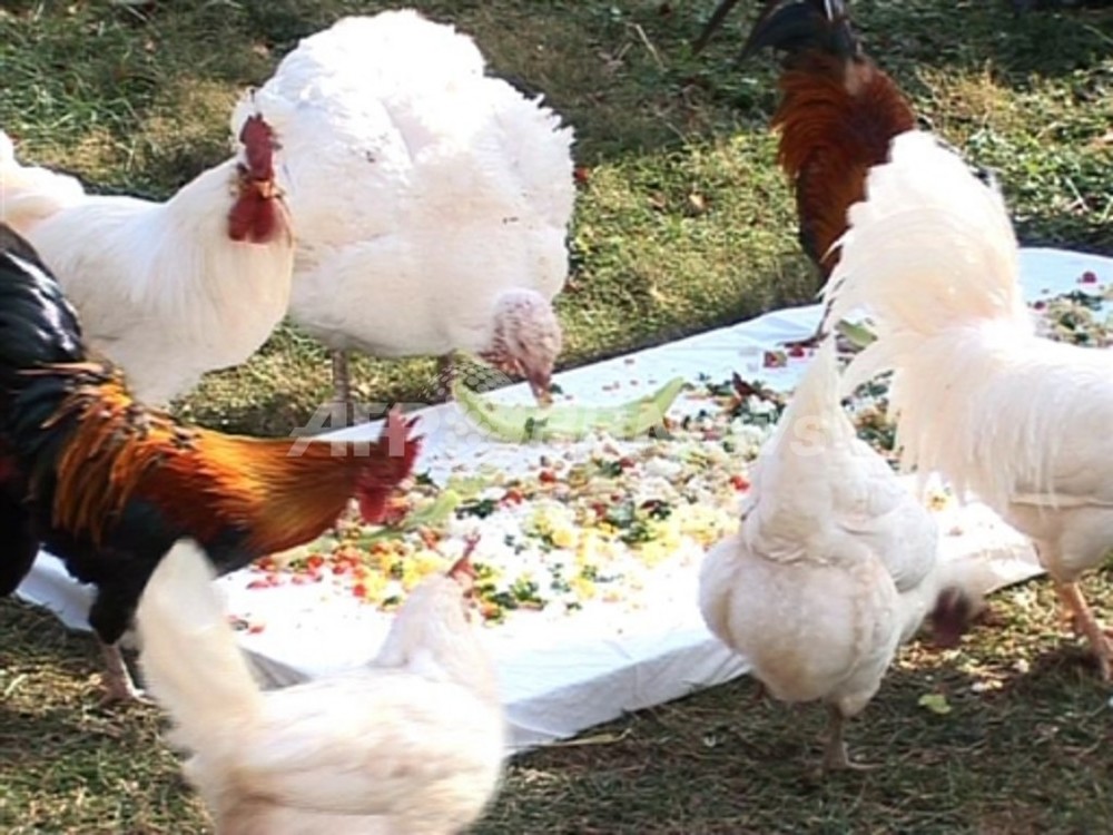 豆なし七面鳥とスイートポテトチリのレシピ