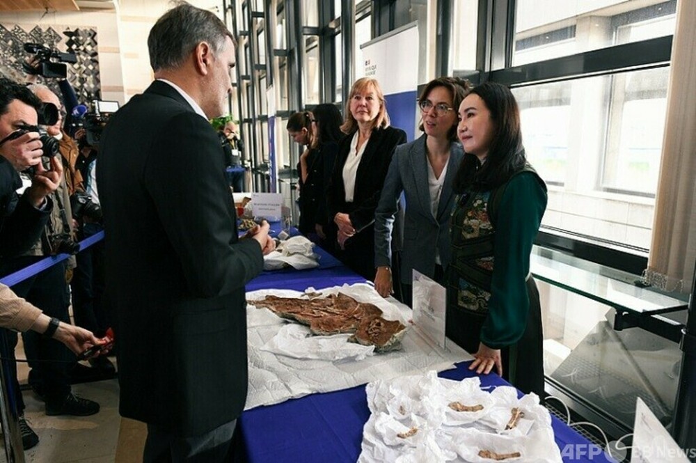 フランス下院が略奪した文化財返還法案を全会一致で可決