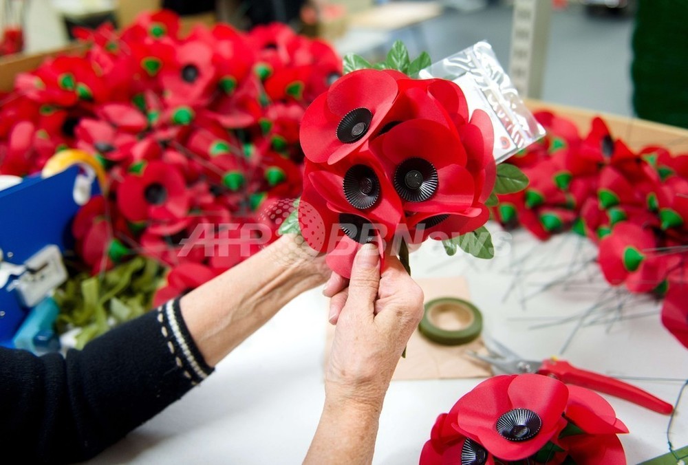 英戦死者を追悼する 赤いポピー 写真4枚 国際ニュース Afpbb News