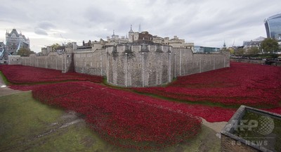 英ロンドン塔の「ポピー畑」が完成、第1次大戦の死者追悼 写真10