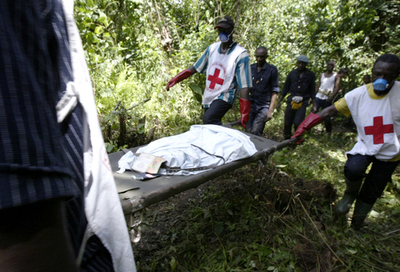 ケニア航空機墜落事故、遺体の回収作業始まる - カメルーン