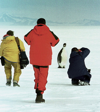 南極のコウテイペンギン、推測2倍の約60万羽 初の衛星調査で