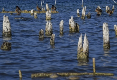 夏の猛暑で湖から遺跡が出現 仏西部