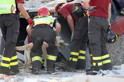 イタリア北東部の地震 死者16人に