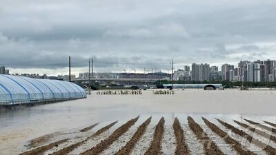 韓国の農家を襲った「怪物級豪雨」…作物浸水で物価にも打撃