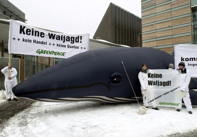 アイスランドとノルウェーが日本への鯨肉輸出を再開