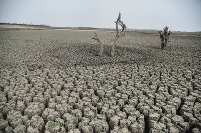 インド西部の州、3か月で農民600人以上自殺 不作で経済的に困窮か