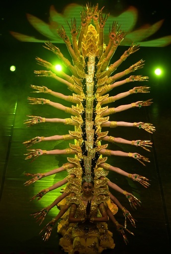 インドで祝う春節、中国のダンサーらが豪華パフォーマンス