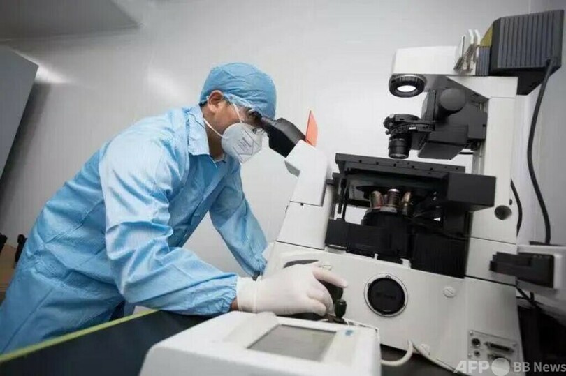 新型の精密標的療法:中国・細胞を治療の「特殊部隊」に