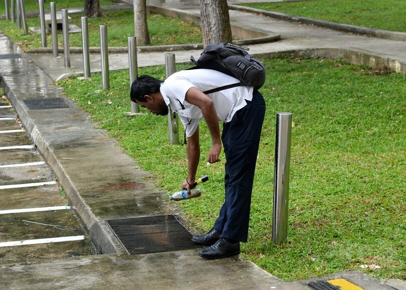 シンガポールのジカウイルス感染者、82人に急増 駆除作業急ぐ