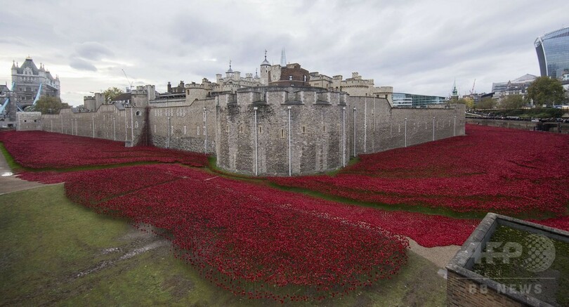 英ロンドン塔の ポピー畑 が完成 第1次大戦の死者追悼 写真10枚 国際ニュース Afpbb News