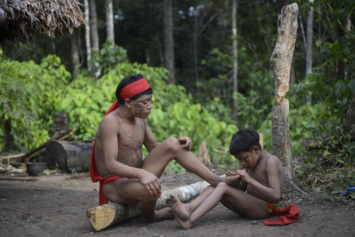 アマゾンの先住民 先住民族の生活 | 特定非営利活動法人 熱帯森林保護団体(RFJ)