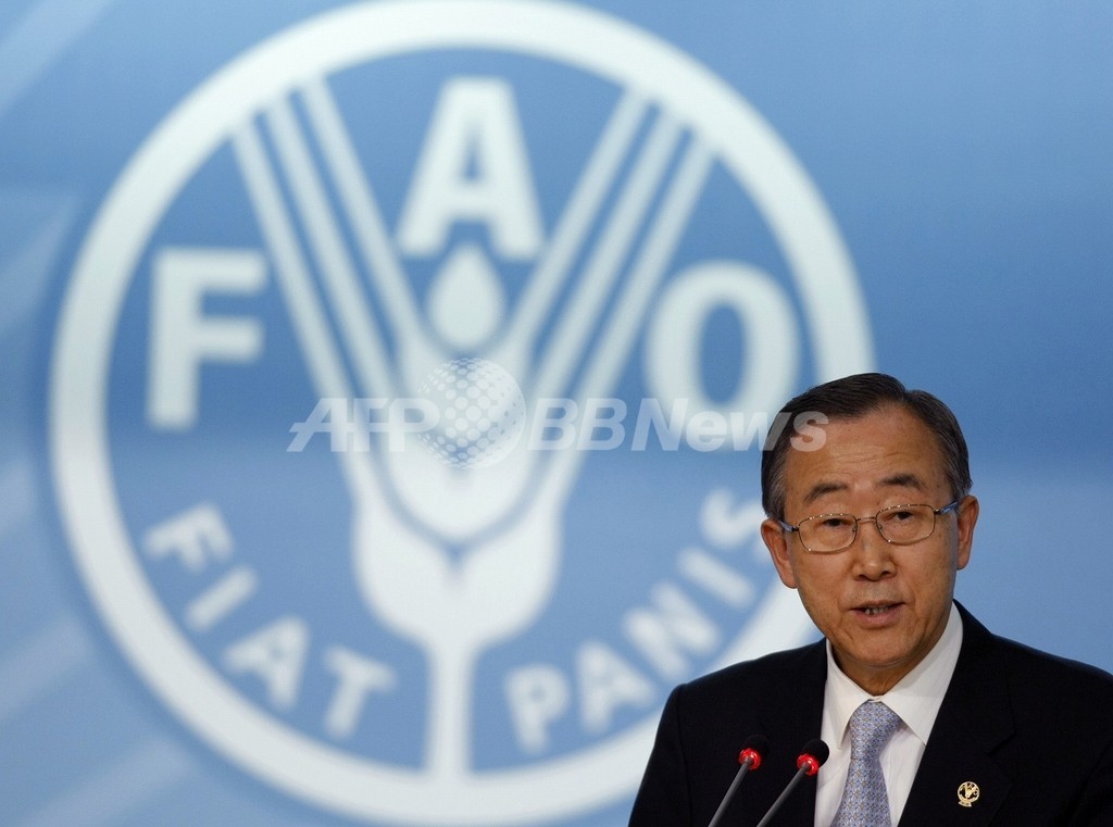 世界の食料生産、2050年までに70%増の必要 FAO 世界の食料生産、2050年までに70%増の必要 FAO
