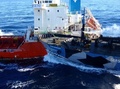 南極海（Southern Ocean）で、日本の調査捕鯨船団の補給タンカー「サン・ローレル（San Laurel）号」（奥）と衝突する反捕鯨団体シー・シェパード（Sea Shepherd Conservation Society）の抗議船「ボブ・バーカー（Bob Barker）号」（手前、2013年2月25日撮影、同26日提供）。(c)AFP/INSTITUTE OF CETACEAN RESEARCH