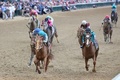 米国競馬のG1レース、第149回ケンタッキーダービー。トップでゴールするハビエル・カステリャーノ騎手騎乗のメイジ（2023年5月6日撮影）。(c)Michael Reaves/Getty Images/ AFP