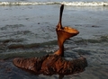 米南部沖のメキシコ湾（Gulf of Mexico）の原油流出事故で油まみれになったカッショクペリカン。米ルイジアナ（Louisiana）州East Grand Terre Islandで撮影。流出した原油はルイジアナ州沿岸部に大量に押し寄せている（2010年6月4日撮影）。(c)AFP/Getty Images/Win McNamee