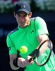 テニス、ドバイ・テニス選手権、男子シングルス2回戦。リターンを狙うアンディ・マレー（2015年2月25日撮影）。(c)AFP/KARIM SAHIB