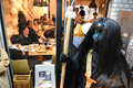 下北沢の飲食店に立ち寄る烏天狗（2019年2月1日撮影）。(c)AFPBB News/Yoko Akiyoshi