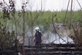 独東部ベルリン南西部の山火事の現場（2022年6月19日撮影）。(c)Odd ANDERSEN / AFP