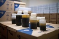 ドイツ西部クレーフェルトで、捕虫器から採集した昆虫が入っている容器（2019年5月9日撮影）。(c)INA FASSBENDER / AFP