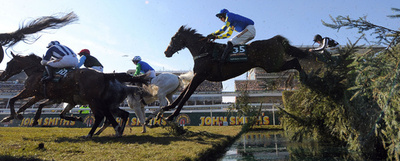 ファーガソン監督、ダービーを前に所有馬のレースを観戦