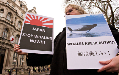 ロンドンの日本大使館前で反捕鯨デモ