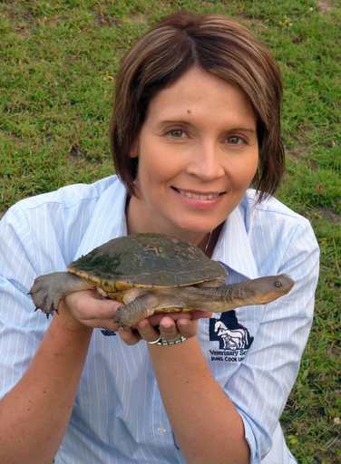 飼育下で繁殖した淡水カメがマイコバクテリアに感染、豪州初