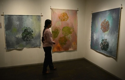 インドゾウ作の絵画、売り上げは保護活動へ インド