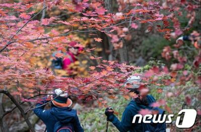 韓国・山岳会の中年男女による遊覧船“低質？”行動…引き起こされた「世代」間の非難応酬