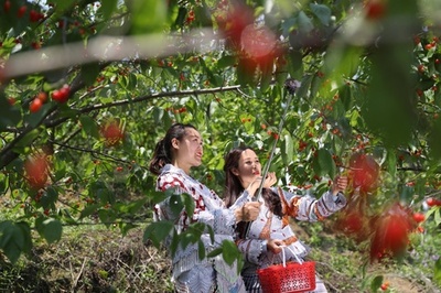 中国の「販売促進の女王」が「転落」 ライブコマースは「野蛮時代」に別れを告げる