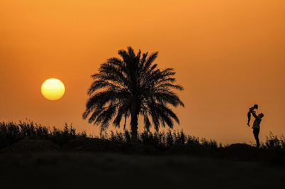 【今日の1枚】ヤシの木のそばで… イラク