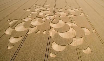 一体何の形？ 直径180メートルの「ミステリーサークル」出現 独