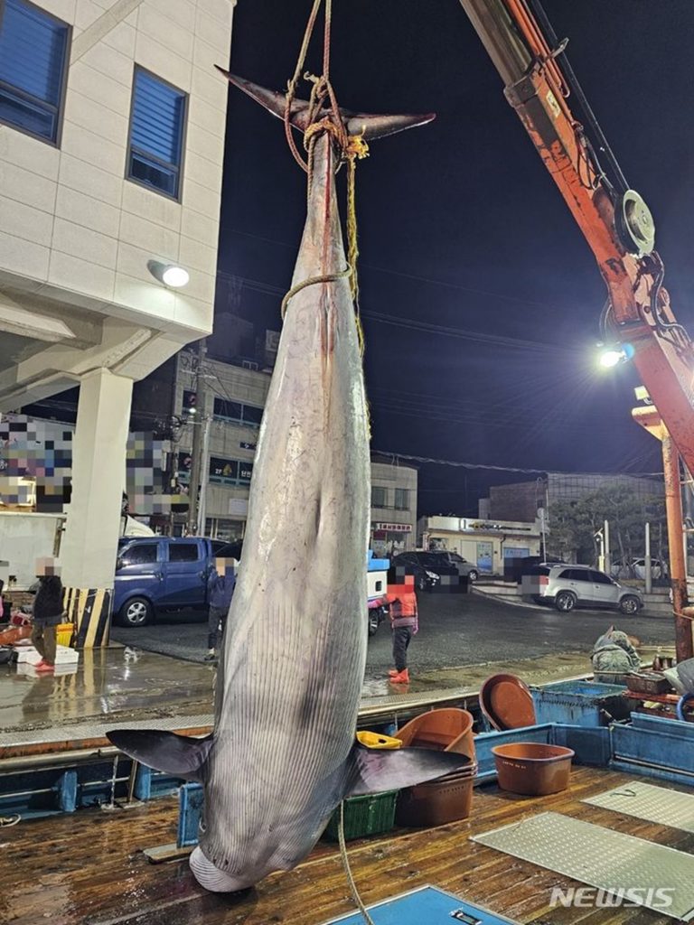 蔚珍海洋警察提供(c)NEWSIS