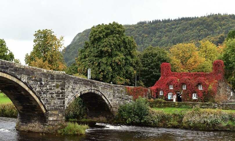 秋色に「衣替え」、英ウェールズの有名ティールーム