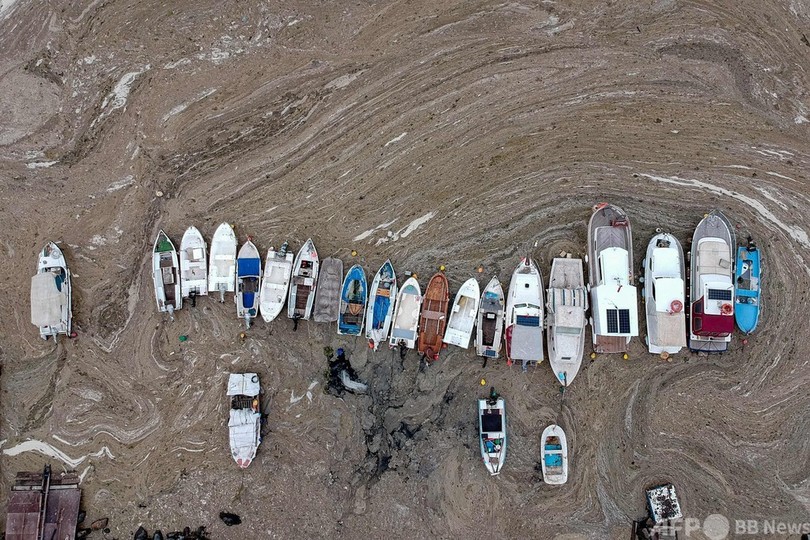 トルコで「海の鼻水」大量発生 住民に不安広がる