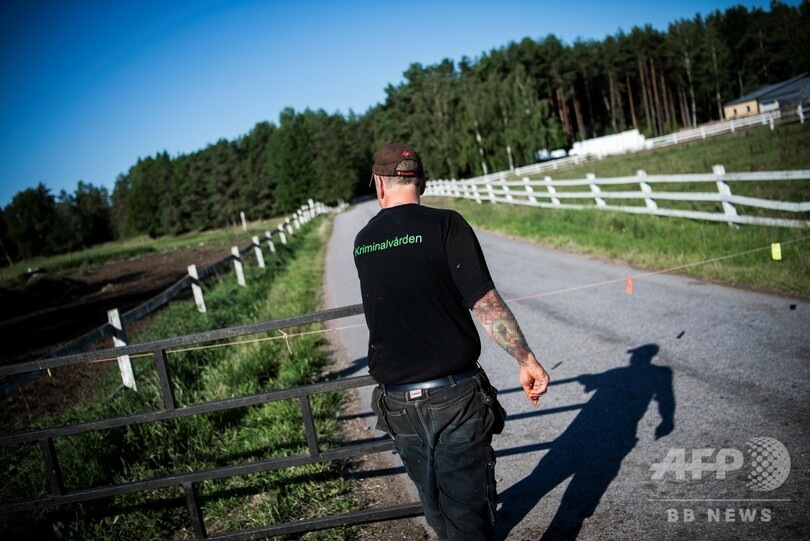 受刑者の更生に牛が一役、スウェーデンの農場刑務所