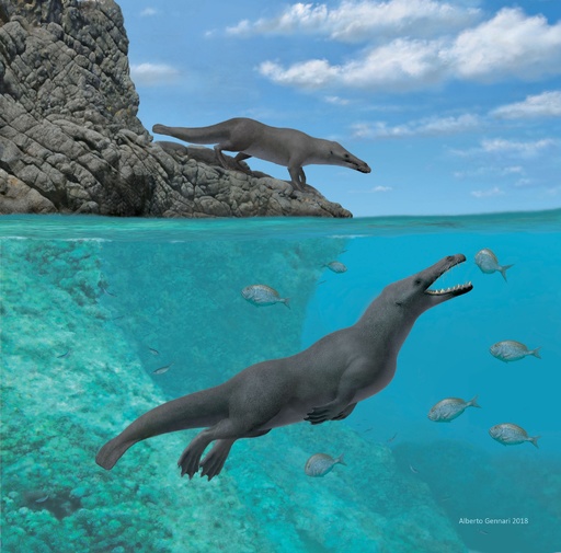 ペルー　彩色土器　クジラ　インカ 在庫僅少】 今年も話題の ペルー 彩色土器 クジラ インカ