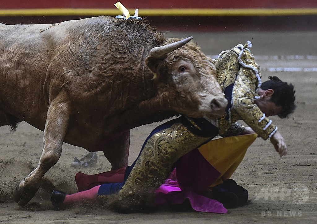 牛の猛攻！ほんろうされる闘牛士たち 南米コロンビア 写真8枚 国際ニュース：AFPBB News