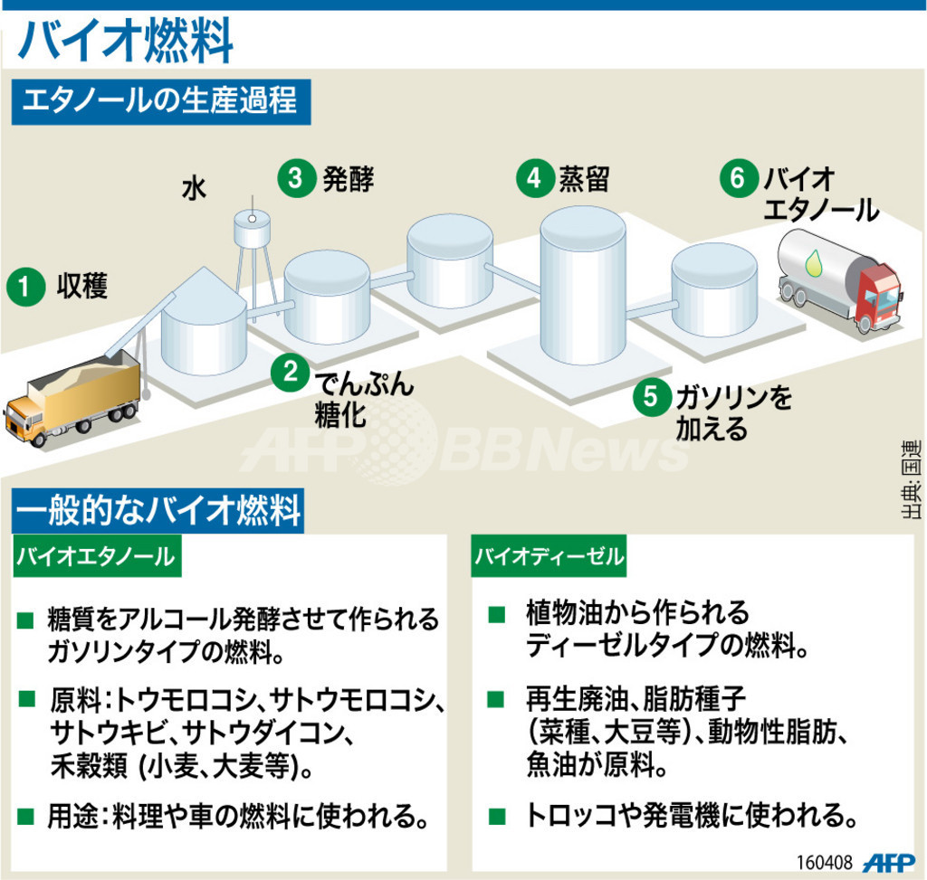 サザンオールスターズ paradise 歌詞