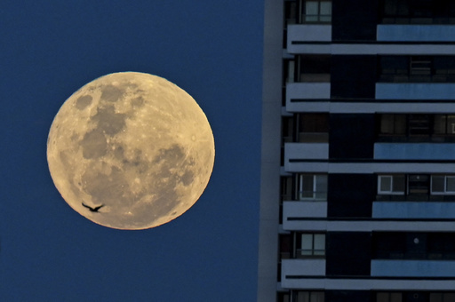 スーパームーン」各地で観測 今年最大の満月 写真17枚 国際ニュース